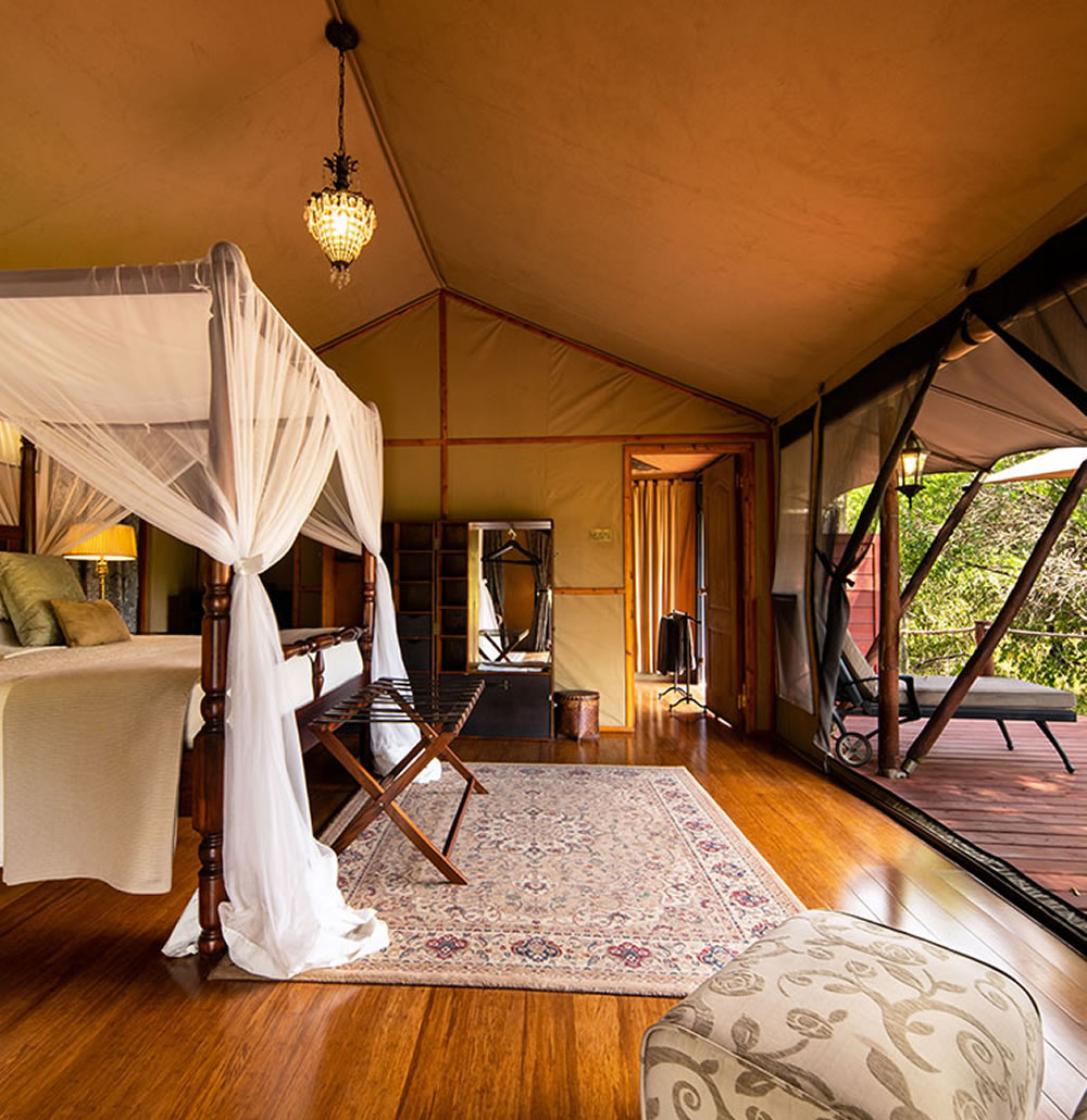 the escape honeymoon package