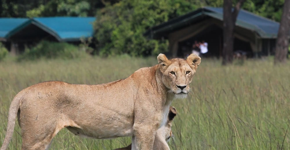 the experience holiday package