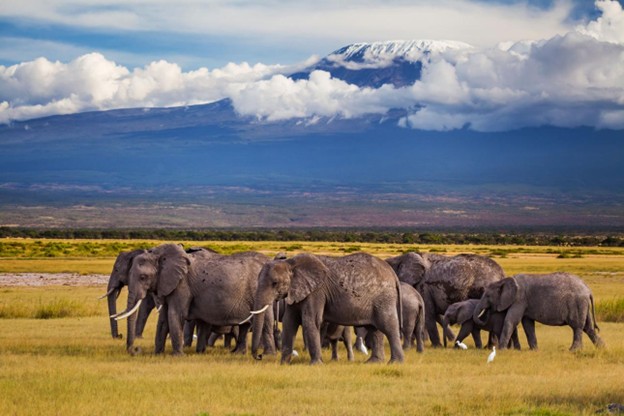 Amboseli National Park Amboseli National Park