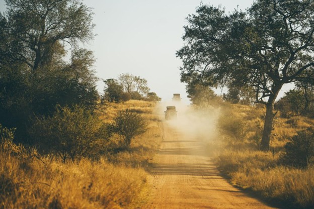 Safari trail Safari trail
