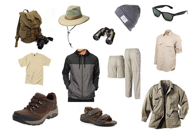 Safari essentials Safari essentials